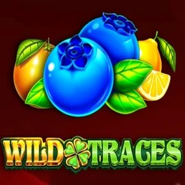 Slots logo of Wild Traces from Amusnet Interactive at Ritzo Casino